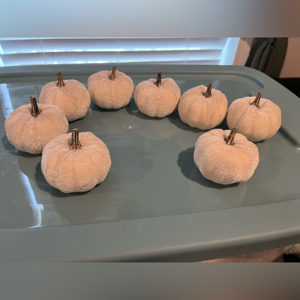 Set of White Decorative Pumpkins
